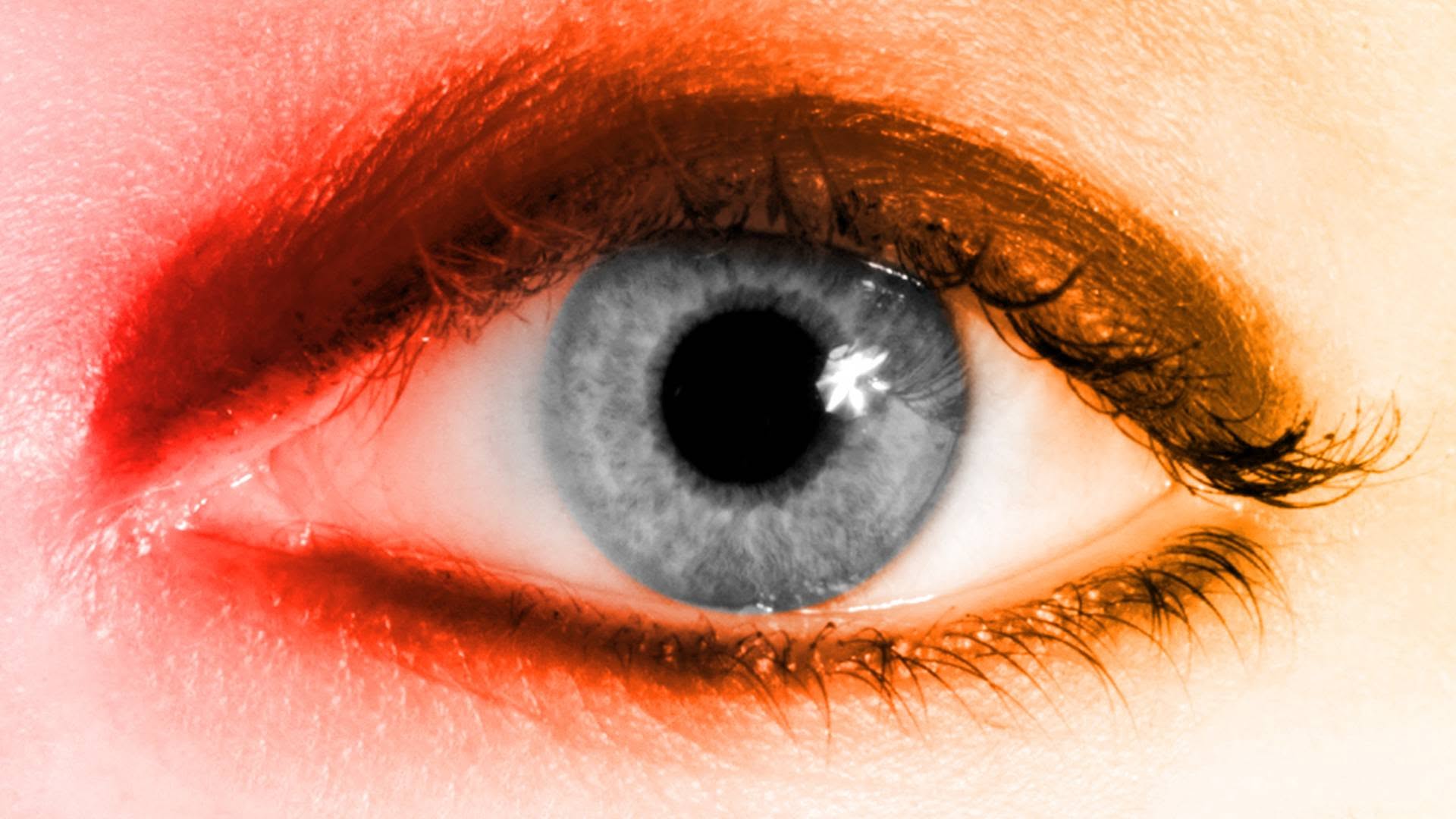 OEIL 2