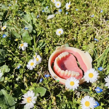 Mastering the First Impression: Your intriguing post title goes here Dentier